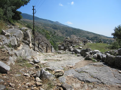 priene 