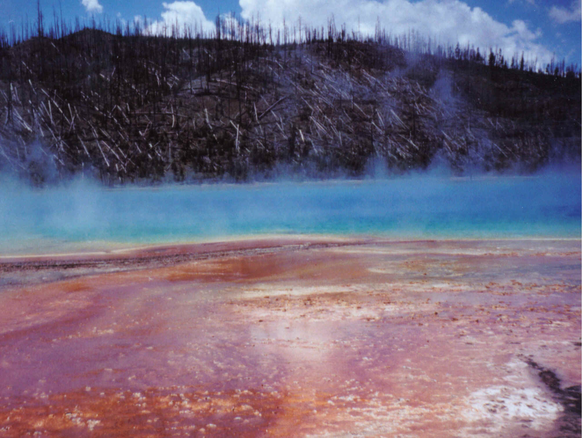 Picture: Picture we took of the rainbow pool, which got it's name for the blend of colors the soil ground and water have created in Yellowstone National Park(June 2002)