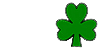 st patricks day clover icon