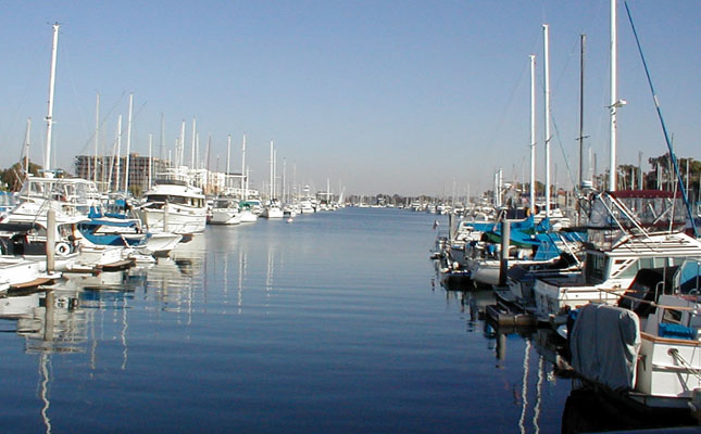 boats at the marina