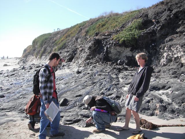 Carpenteria Tar Seeps