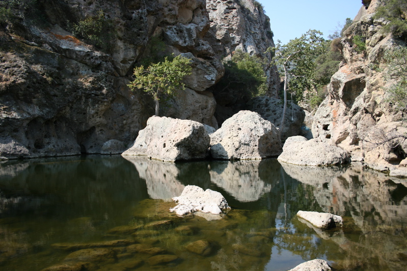 Rock Pool on Malibu Creek