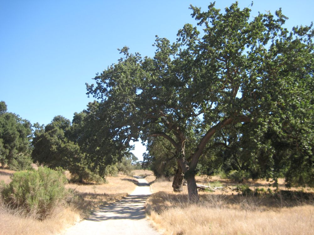 Cheesboro Canyon trail